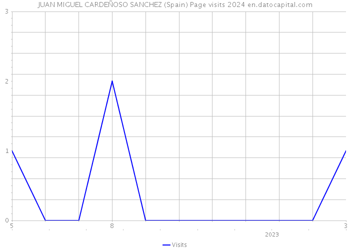 JUAN MIGUEL CARDEÑOSO SANCHEZ (Spain) Page visits 2024 
