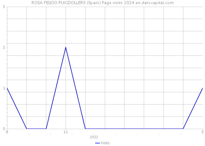 ROSA FEIJOO PUIGDOLLERS (Spain) Page visits 2024 