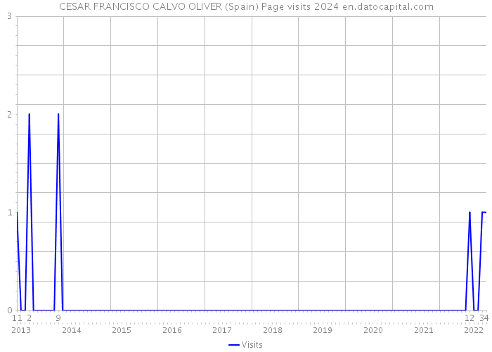CESAR FRANCISCO CALVO OLIVER (Spain) Page visits 2024 