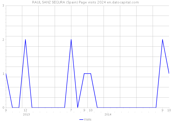 RAUL SANZ SEGURA (Spain) Page visits 2024 