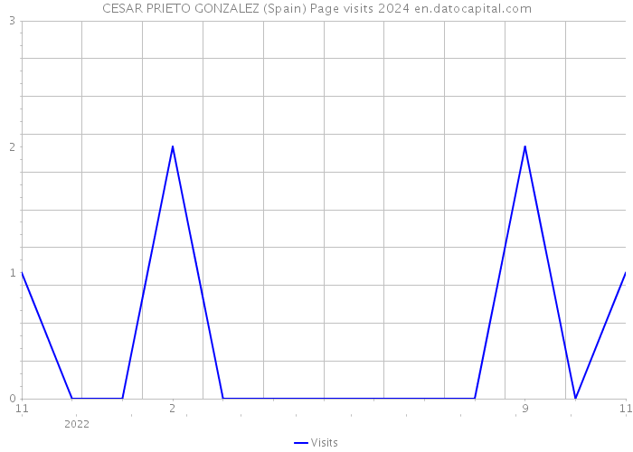 CESAR PRIETO GONZALEZ (Spain) Page visits 2024 