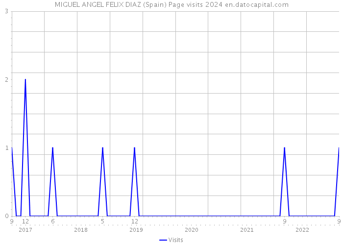 MIGUEL ANGEL FELIX DIAZ (Spain) Page visits 2024 