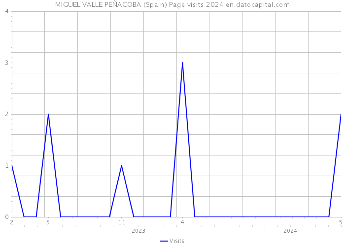 MIGUEL VALLE PEÑACOBA (Spain) Page visits 2024 