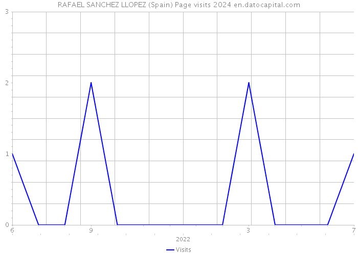 RAFAEL SANCHEZ LLOPEZ (Spain) Page visits 2024 