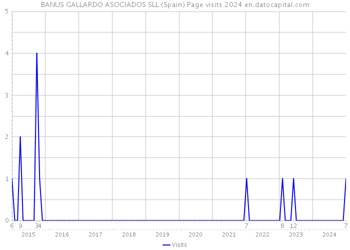 BANUS GALLARDO ASOCIADOS SLL (Spain) Page visits 2024 