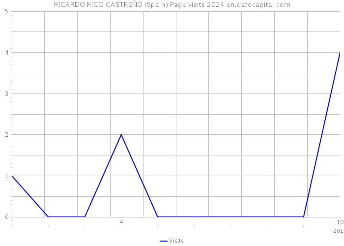 RICARDO RICO CASTREÑO (Spain) Page visits 2024 
