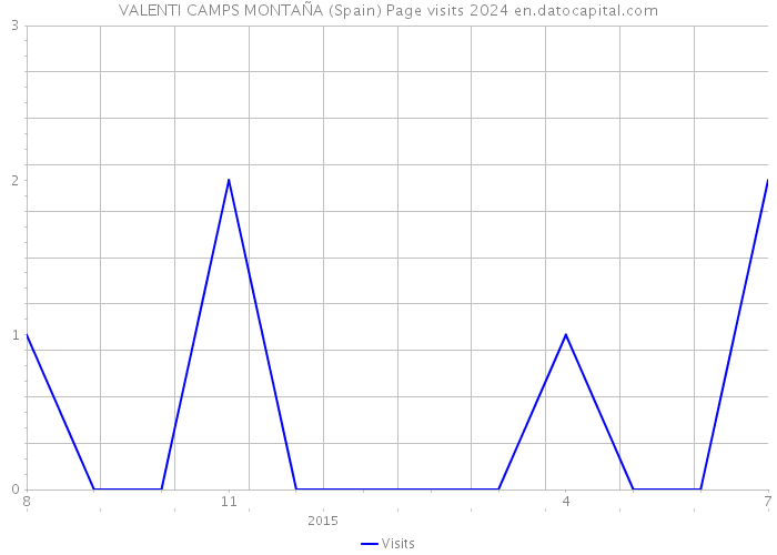 VALENTI CAMPS MONTAÑA (Spain) Page visits 2024 