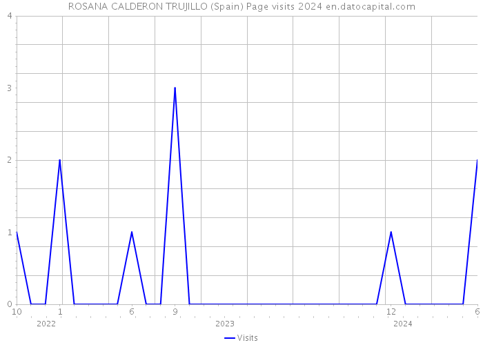 ROSANA CALDERON TRUJILLO (Spain) Page visits 2024 