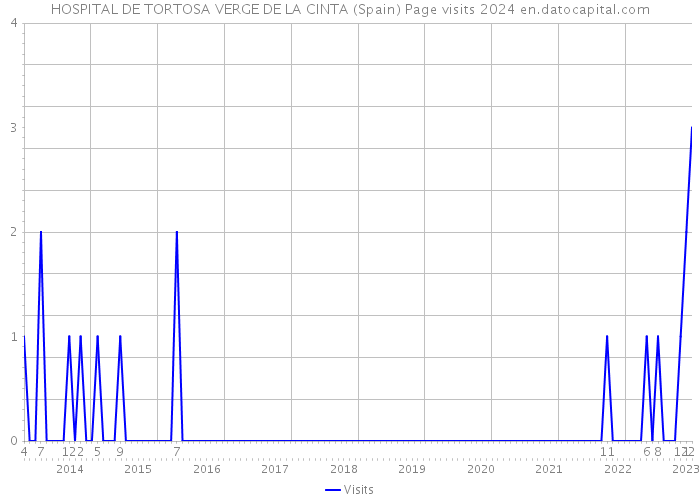 HOSPITAL DE TORTOSA VERGE DE LA CINTA (Spain) Page visits 2024 