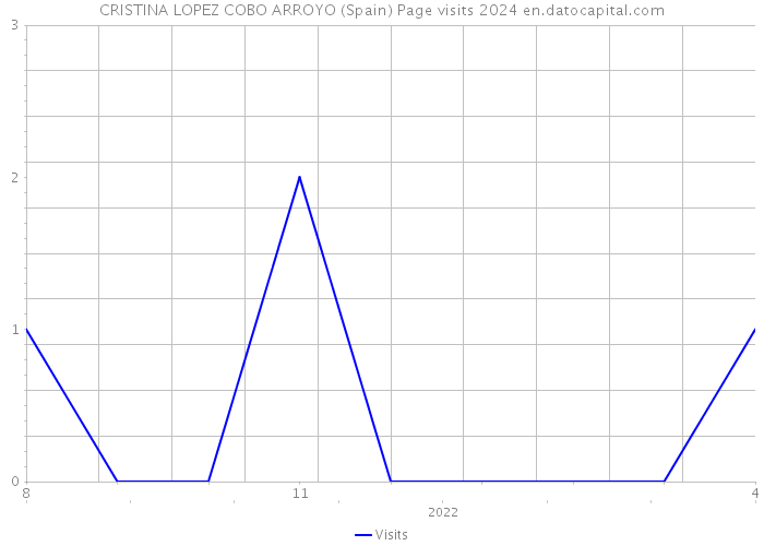 CRISTINA LOPEZ COBO ARROYO (Spain) Page visits 2024 