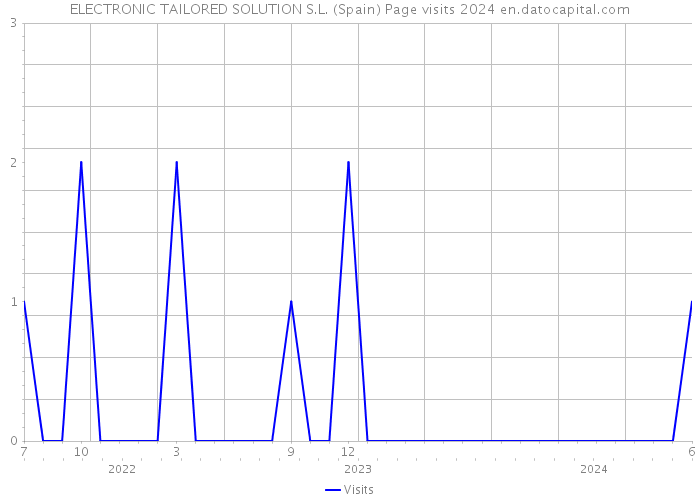 ELECTRONIC TAILORED SOLUTION S.L. (Spain) Page visits 2024 