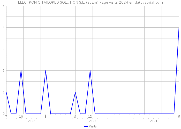 ELECTRONIC TAILORED SOLUTION S.L. (Spain) Page visits 2024 