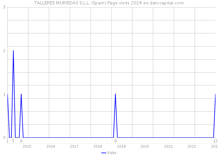 TALLERES MURIEDAS S.L.L. (Spain) Page visits 2024 