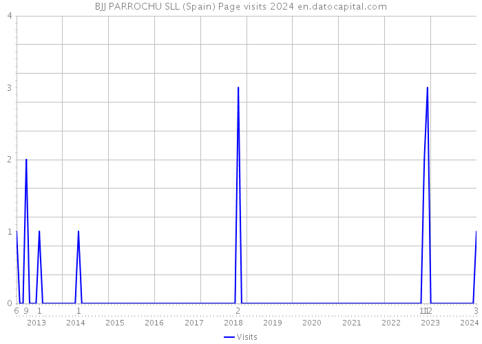 BJJ PARROCHU SLL (Spain) Page visits 2024 