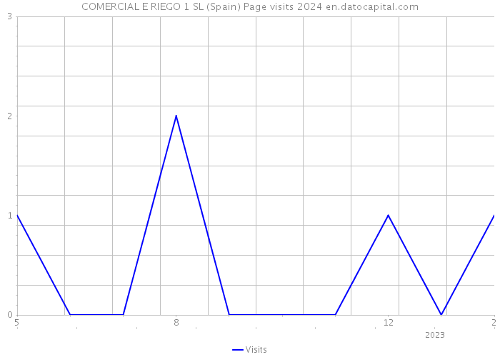 COMERCIAL E RIEGO 1 SL (Spain) Page visits 2024 