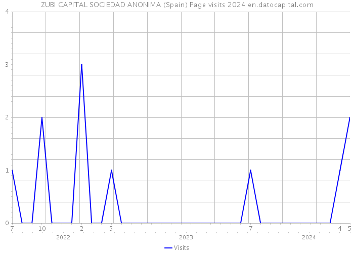 ZUBI CAPITAL SOCIEDAD ANONIMA (Spain) Page visits 2024 