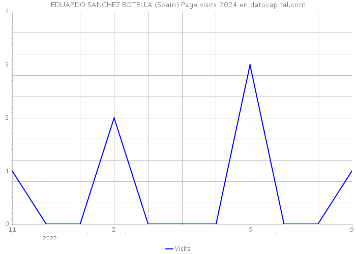 EDUARDO SANCHEZ BOTELLA (Spain) Page visits 2024 