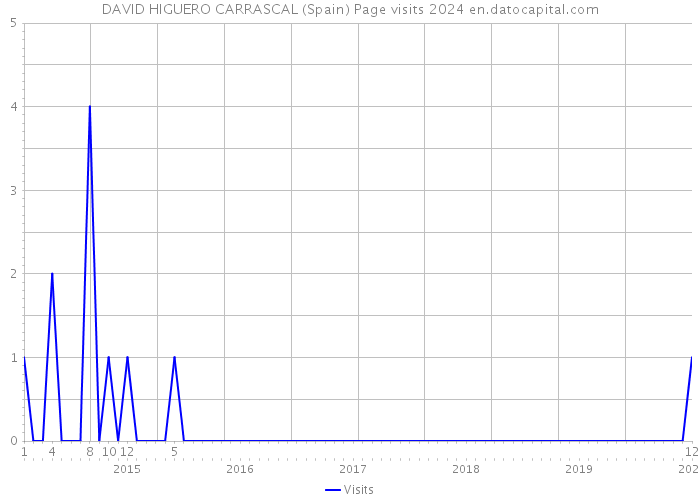 DAVID HIGUERO CARRASCAL (Spain) Page visits 2024 