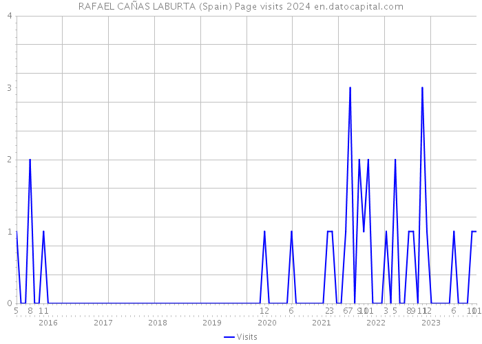 RAFAEL CAÑAS LABURTA (Spain) Page visits 2024 