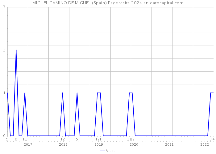 MIGUEL CAMINO DE MIGUEL (Spain) Page visits 2024 