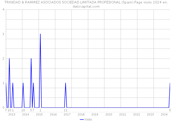 TRINIDAD & RAMIREZ ASOCIADOS SOCIEDAD LIMITADA PROFESIONAL (Spain) Page visits 2024 