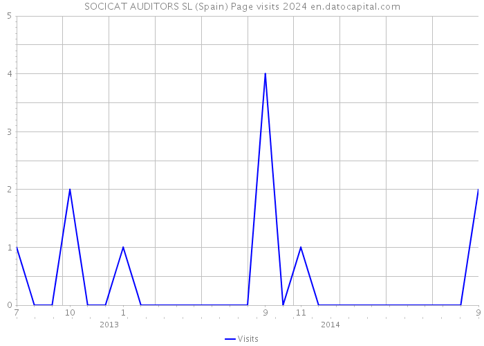 SOCICAT AUDITORS SL (Spain) Page visits 2024 