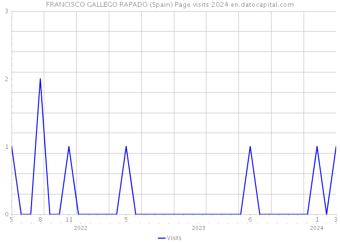 FRANCISCO GALLEGO RAPADO (Spain) Page visits 2024 