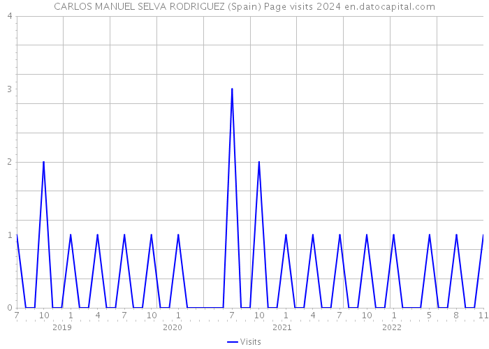 CARLOS MANUEL SELVA RODRIGUEZ (Spain) Page visits 2024 