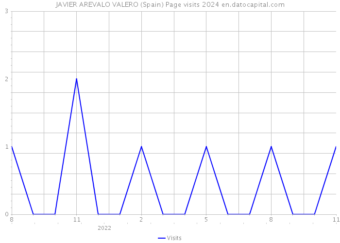 JAVIER AREVALO VALERO (Spain) Page visits 2024 