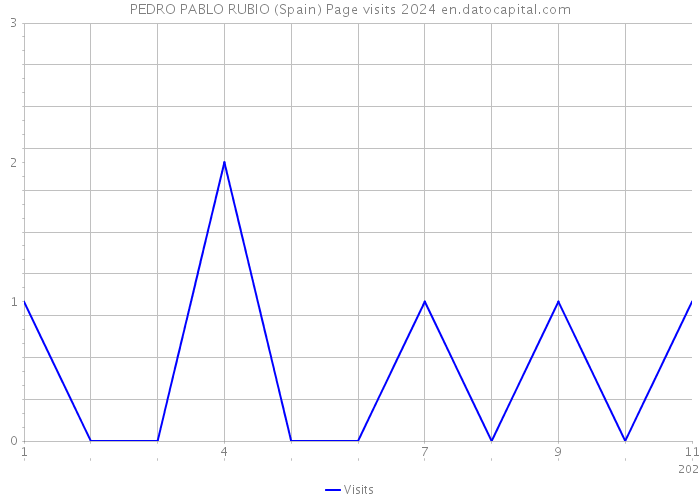 PEDRO PABLO RUBIO (Spain) Page visits 2024 