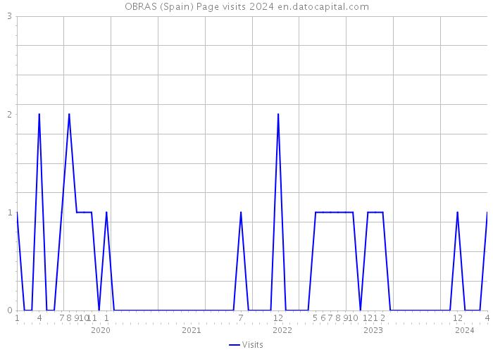 OBRAS (Spain) Page visits 2024 