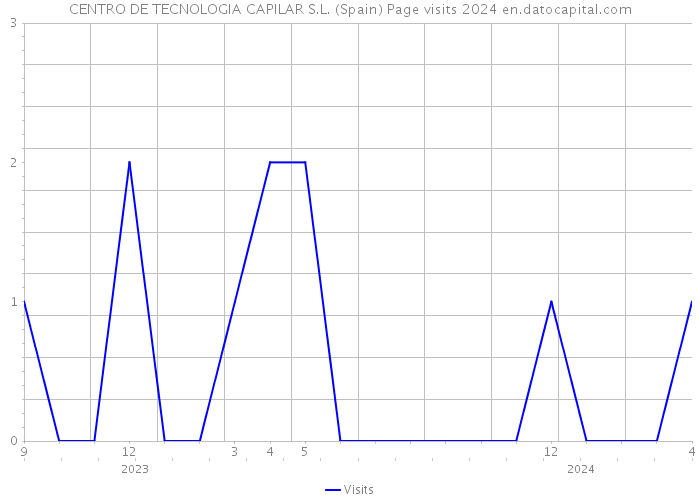 CENTRO DE TECNOLOGIA CAPILAR S.L. (Spain) Page visits 2024 
