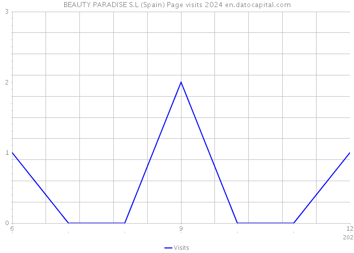 BEAUTY PARADISE S.L (Spain) Page visits 2024 