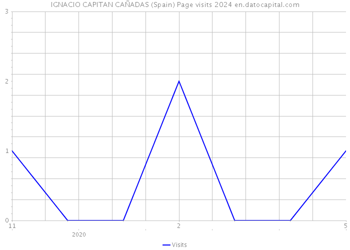 IGNACIO CAPITAN CAÑADAS (Spain) Page visits 2024 