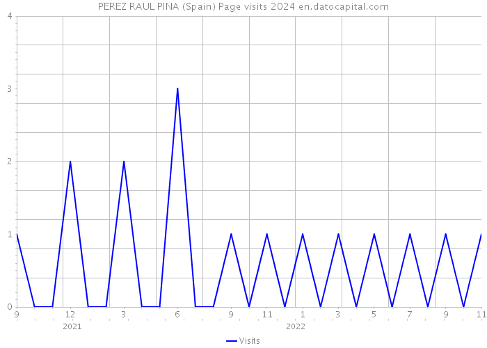 PEREZ RAUL PINA (Spain) Page visits 2024 