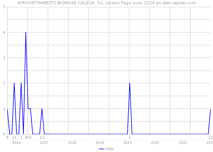 APROVEITAMENTO BIOMASA GALEGA S.L. (Spain) Page visits 2024 
