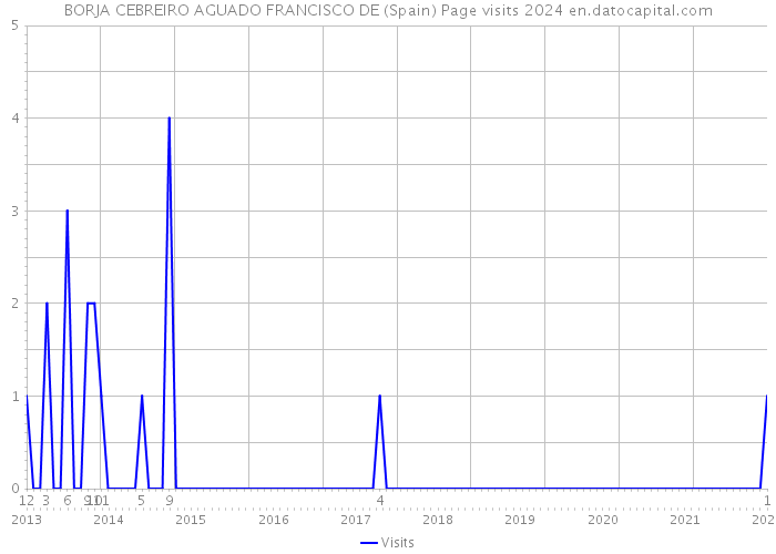BORJA CEBREIRO AGUADO FRANCISCO DE (Spain) Page visits 2024 