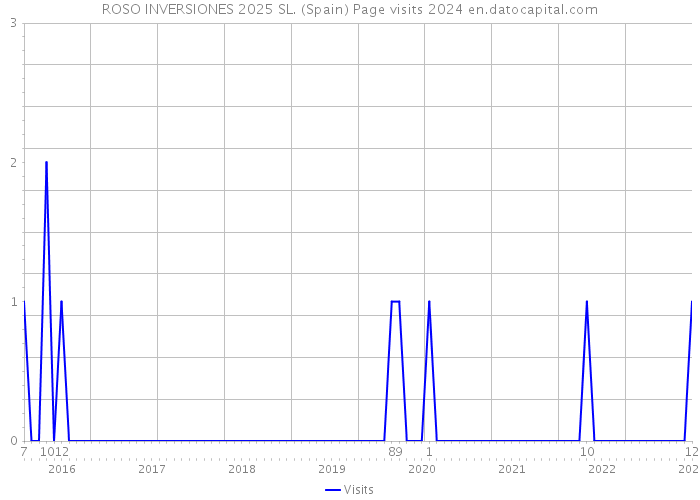ROSO INVERSIONES 2025 SL. (Spain) Page visits 2024 