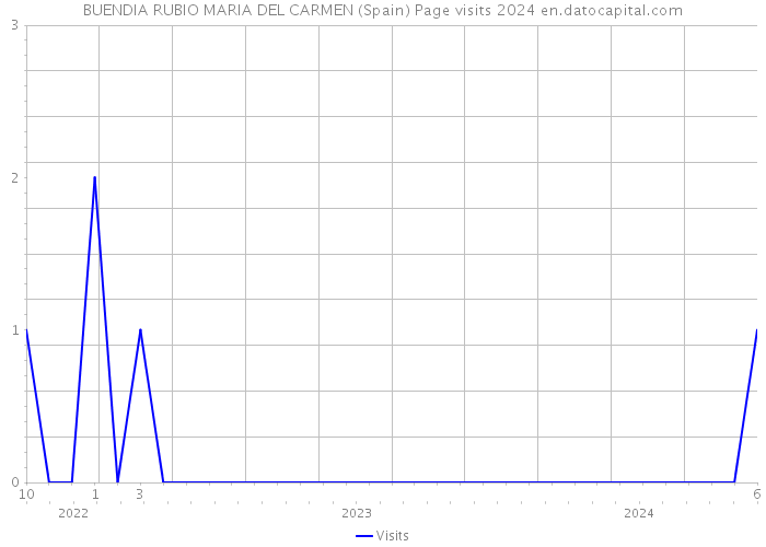 BUENDIA RUBIO MARIA DEL CARMEN (Spain) Page visits 2024 