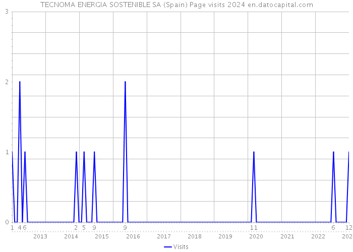 TECNOMA ENERGIA SOSTENIBLE SA (Spain) Page visits 2024 