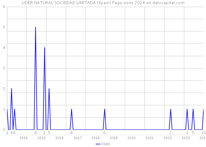 LIDER NATURAL SOCIEDAD LIMITADA (Spain) Page visits 2024 
