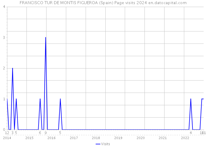 FRANCISCO TUR DE MONTIS FIGUEROA (Spain) Page visits 2024 