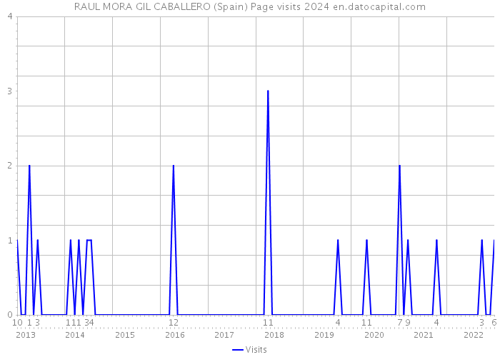 RAUL MORA GIL CABALLERO (Spain) Page visits 2024 