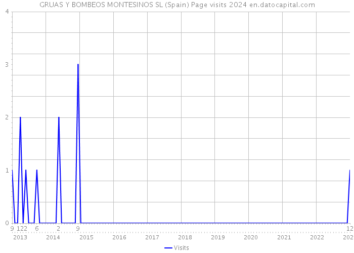 GRUAS Y BOMBEOS MONTESINOS SL (Spain) Page visits 2024 