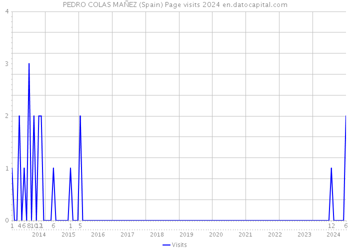PEDRO COLAS MAÑEZ (Spain) Page visits 2024 