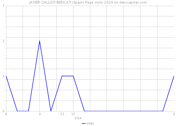 JAVIER GALLIZO BERICAT (Spain) Page visits 2024 