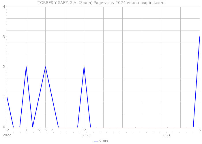 TORRES Y SAEZ, S.A. (Spain) Page visits 2024 