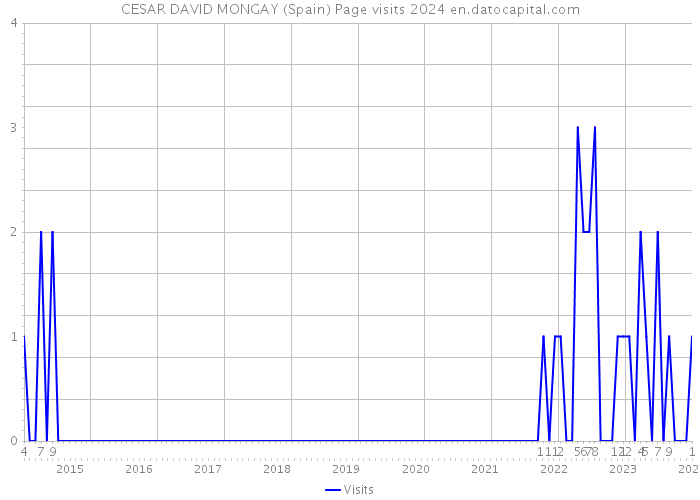 CESAR DAVID MONGAY (Spain) Page visits 2024 