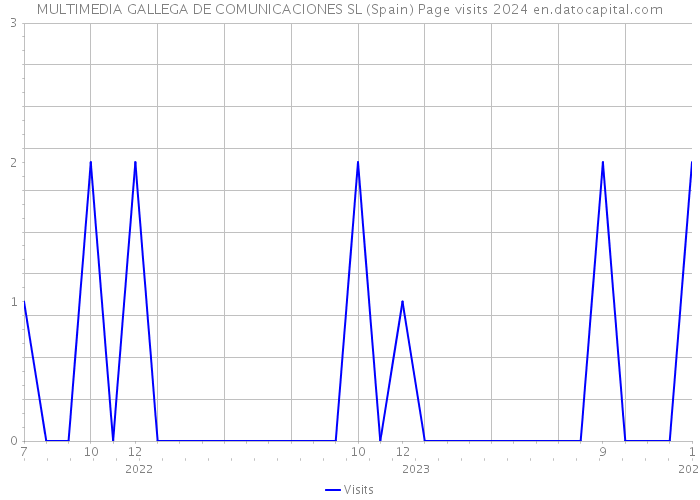 MULTIMEDIA GALLEGA DE COMUNICACIONES SL (Spain) Page visits 2024 