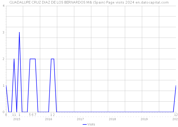 GUADALUPE CRUZ DIAZ DE LOS BERNARDOS M& (Spain) Page visits 2024 